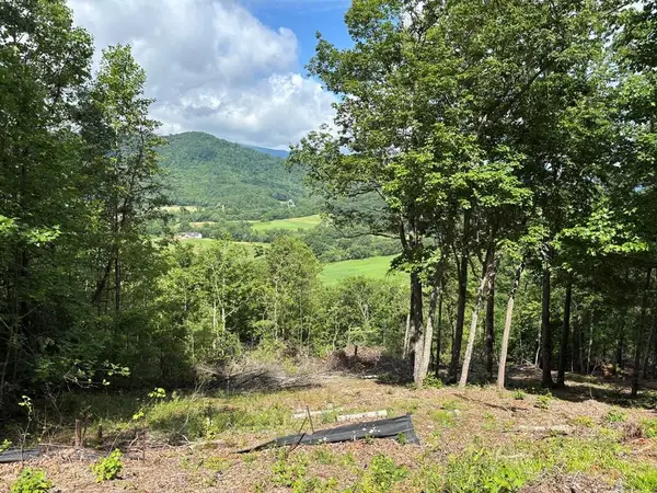 Lot # 17 Buckhead Hills Subdivision, Hiawassee, GA 30546