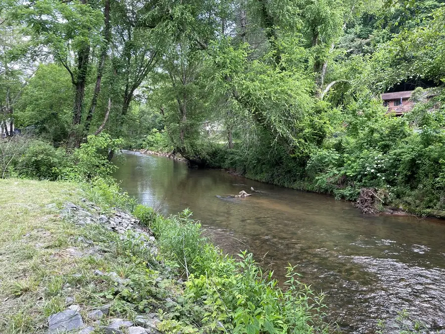 6211 Old Highway 64 W, Warne, NC 28909 - #2