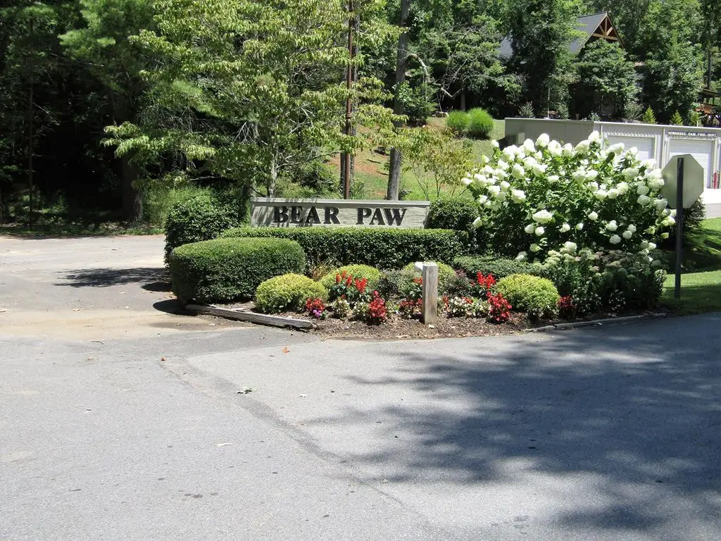 43 Bream Drive, Murphy, NC 28906 - #1