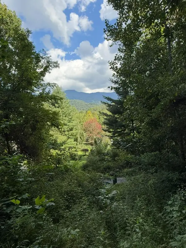 Lot 2 Varsity Drive, Sylva, NC 28779