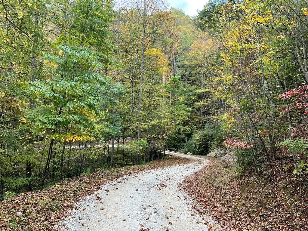 Lot 19 Preserve Valley Road, Nantahala, NC 28781 - #1