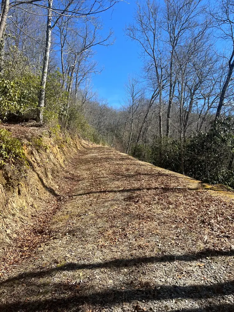 Lot 19 Preserve Valley Road, Nantahala, NC 28781 - #2