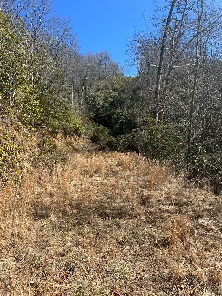 Lot 19 Preserve Valley Road, Nantahala, NC 28781 - #3