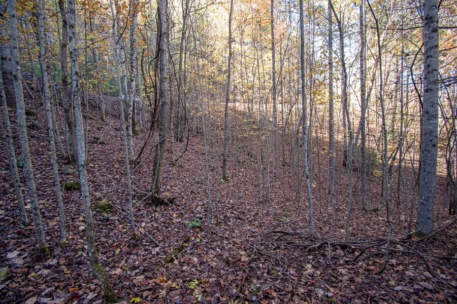 66 Choctaw Ridge Trail, Murphy, NC 28906 - #2