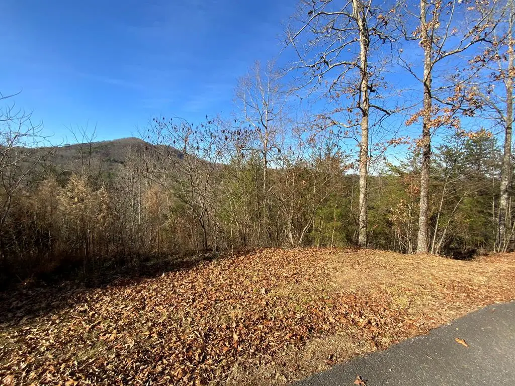 00 Brasstown View, Murphy, NC 28906 - #1