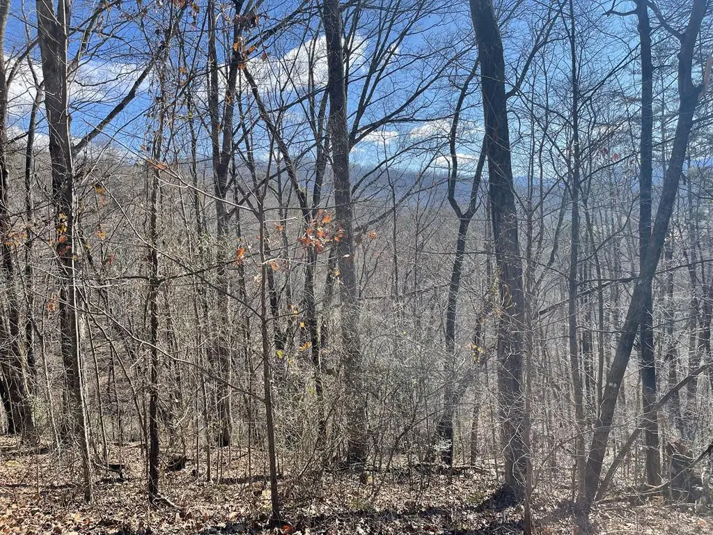 Lot 37C Ash Branch Circle, Hayesville, NC 28904 - #1