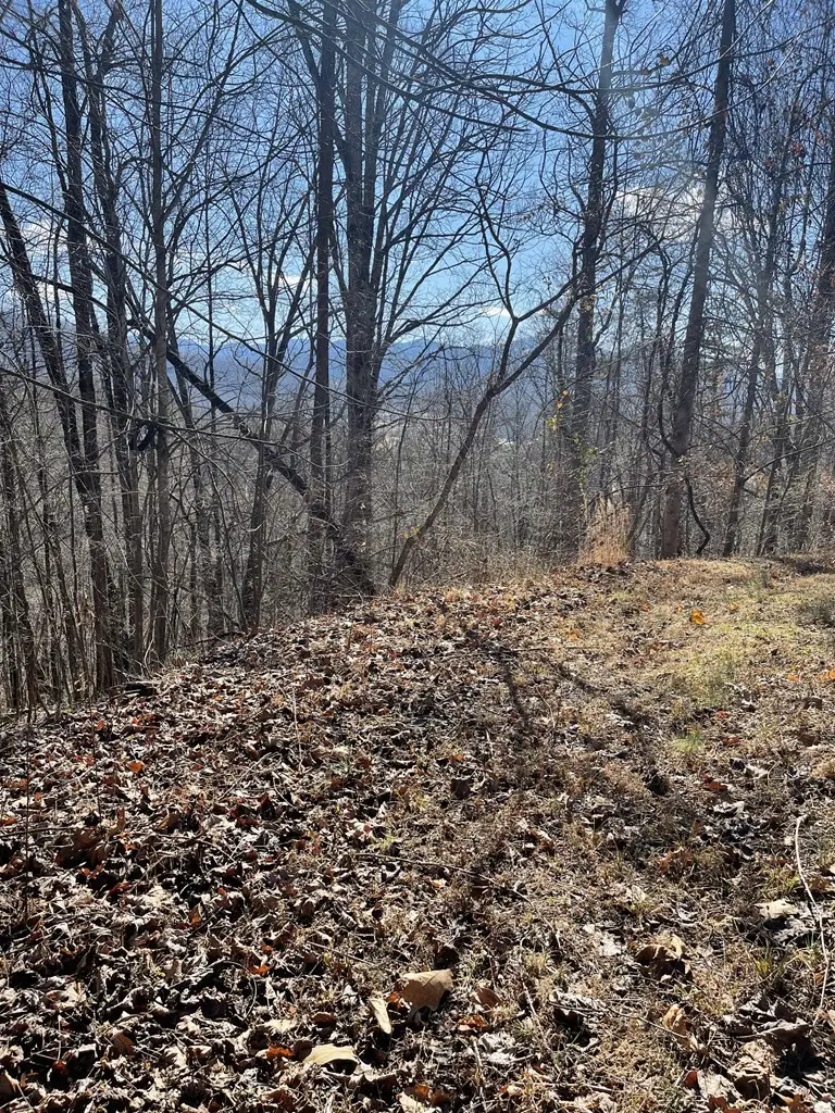 Lot 37C Ash Branch Circle, Hayesville, NC 28904 - #2