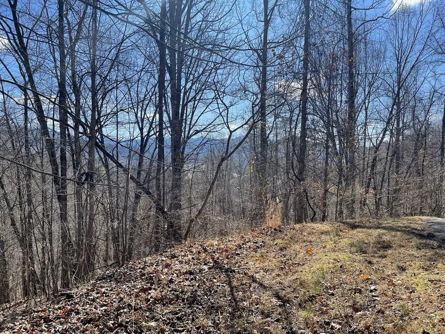 Lot 37C Ash Branch Circle, Hayesville, NC 28904 - #3