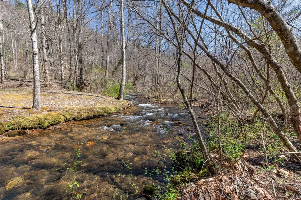 Lots 12+ Tusquittee Crossing, Hayesville, NC 28904 - #1