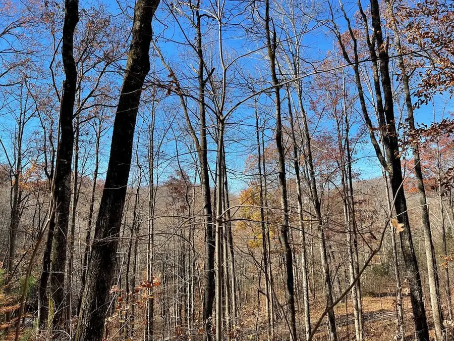 Lots Ash Branch View, Hayesville, NC 28904 - #2