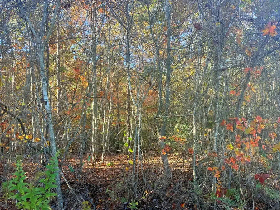 Lot 25 Hideaway Ridge Drive, Murphy, NC 28906 - #2