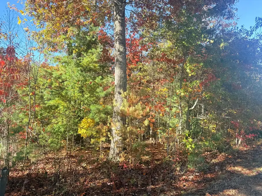 Lot 25 Hideaway Ridge Drive, Murphy, NC 28906 - #3