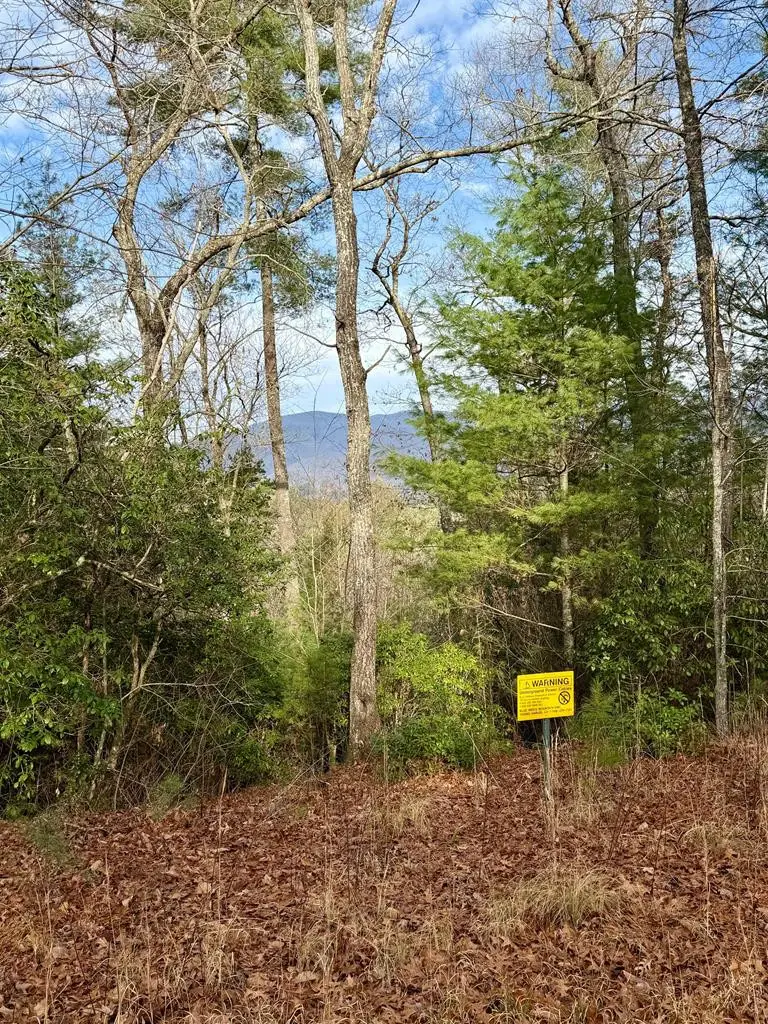 Lot 26 Our Hidden, Murphy, NC 28906 - #1