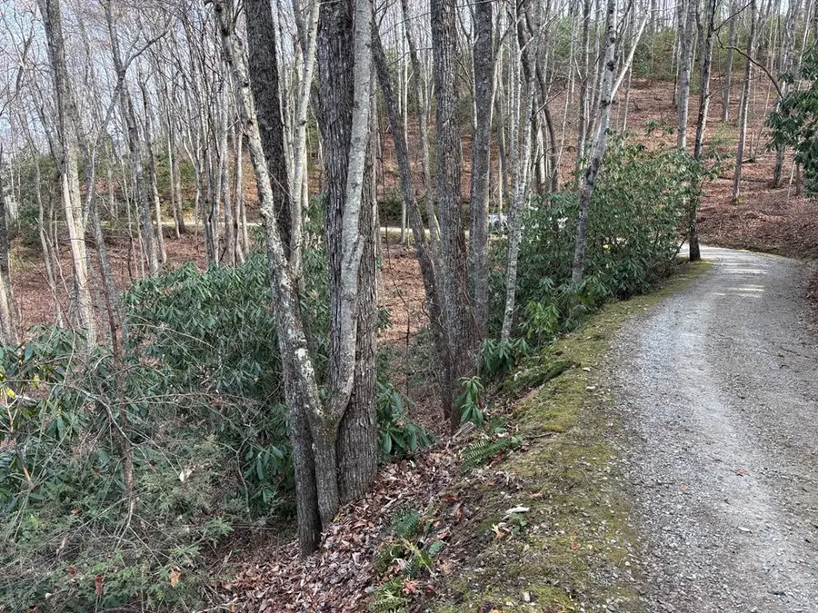 Lot 5 Mountain Tabor, Topton, NC 28781 - #2