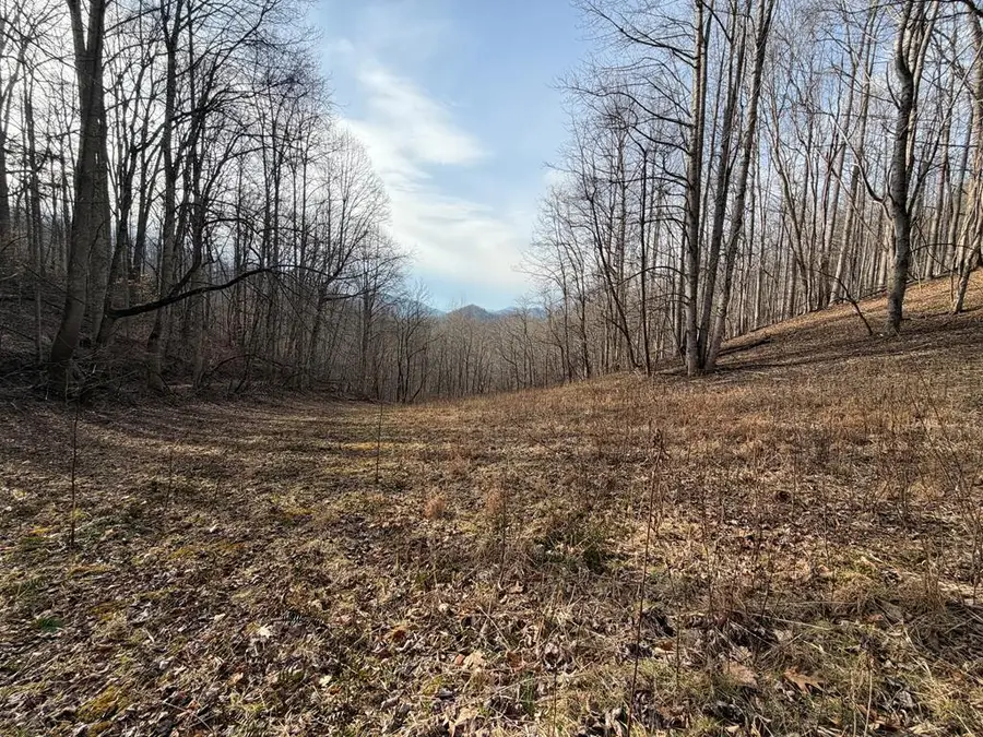 491 Otter Mountain Road, Topton, NC 28781 - #2