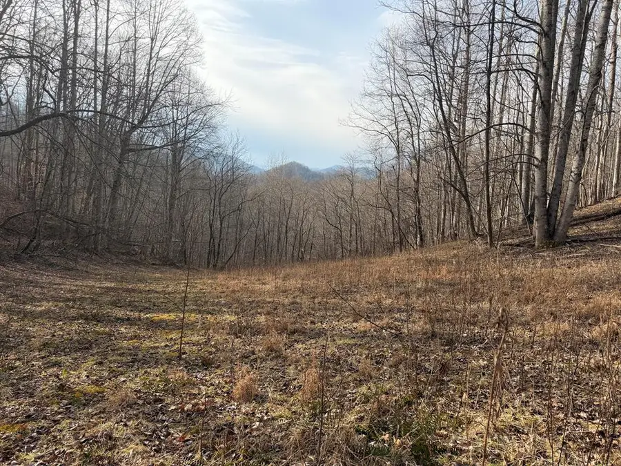 491 Otter Mountain Road, Topton, NC 28781 - #3