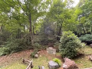 Lot 1 Summit View Drive, Topton, NC 28781 - #2