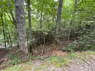 Lot 1 Summit View Drive, Topton, NC 28781 - #3