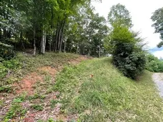 Lot 15 Summit View Drive, Topton, NC 28781 - #3