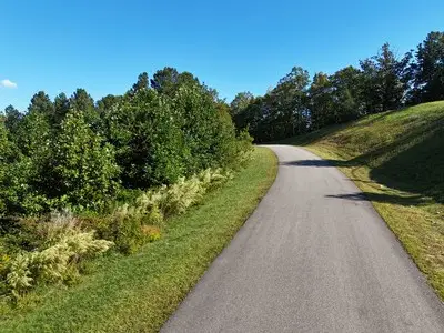Lot 55 Thirteen Hundred, Blairsville, GA 30512 - #3