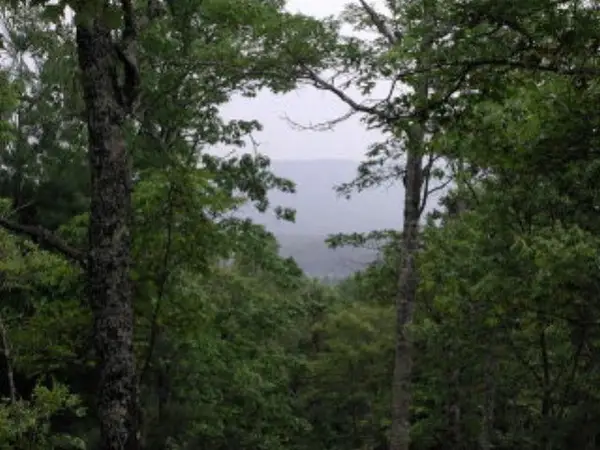 19d&E Braves Landing, Murphy, NC 28906