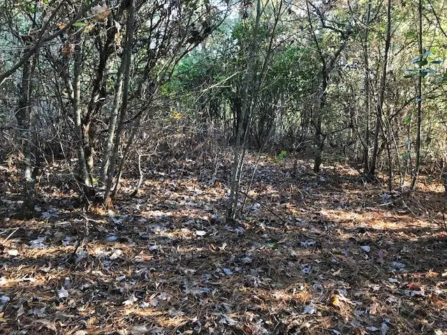 19d&E Braves Landing, Murphy, NC 28906 - #3