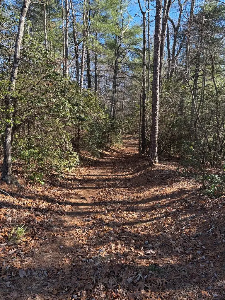 Lot 61 Thundering Hill, Murphy, NC 28906 - #1