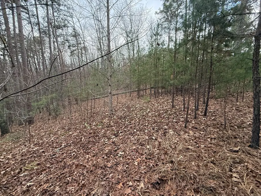 0 Kesrel Ridge Circle, Murphy, NC 28906 - #3