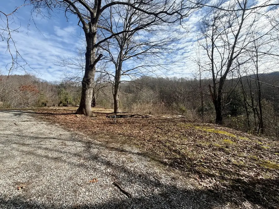 682 Long Branch Road, Topton, NC 28781 - #3