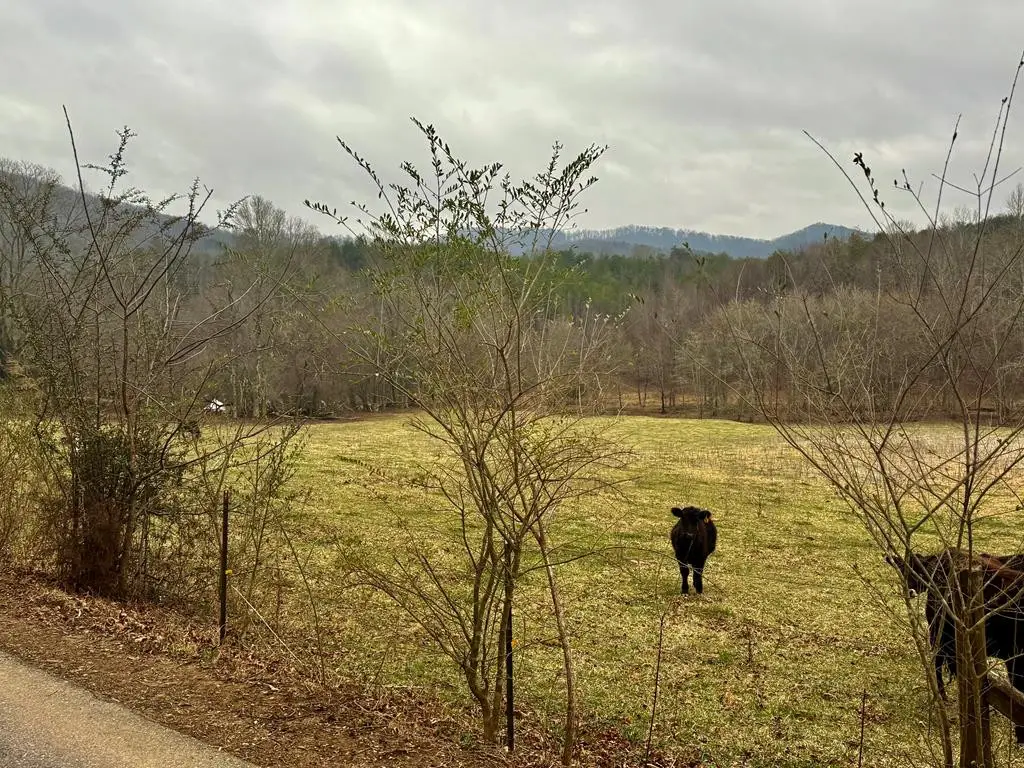 3754 Highway 68 S, Turtletown, TN 37391 - #1