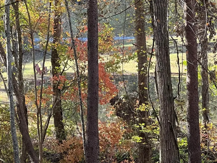 1 Bartin Ridge, Murphy, NC 28906 - #2