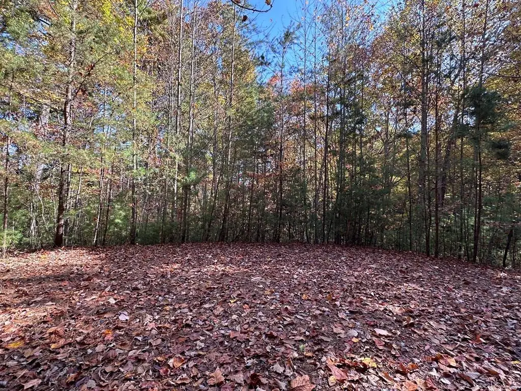 Lot 5&8 Indian Rock Springs Subdivision, Murphy, NC 28906 - #1