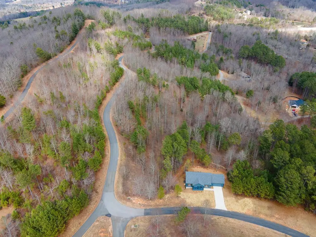 19/20 Summer Cove Road, Blairsville, GA 30512 - #1