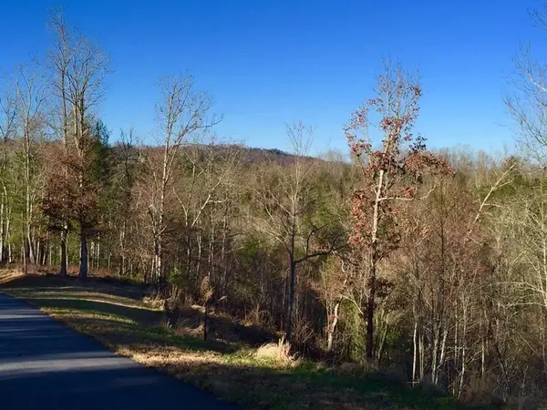 Lot #94 River Mountain Road, Murphy, NC 28906