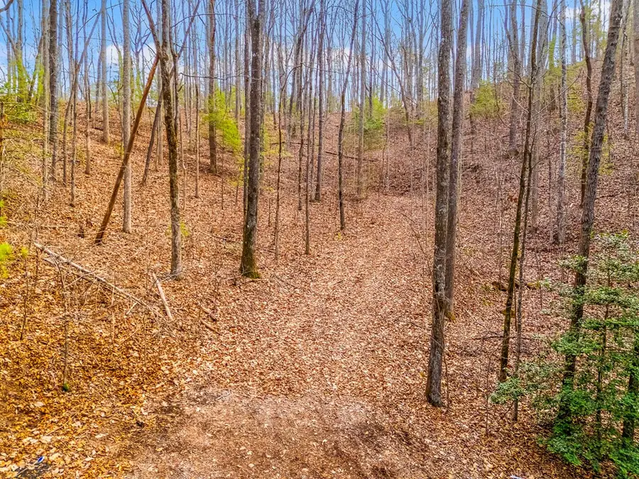 3.45 ac Guy Eller Road, Murphy, NC 28906 - #3
