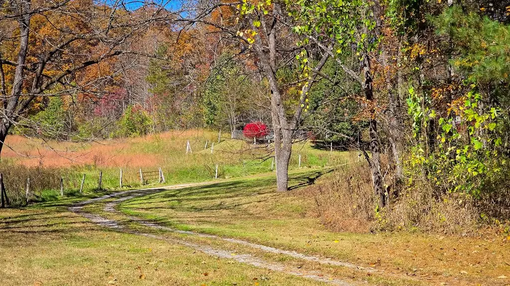 173&130 Edwards Cove Road, Bryson City, NC 28713 - #1