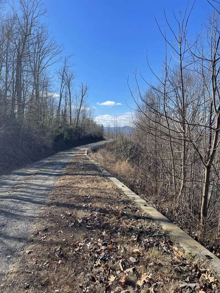 Lot #53M Ridges, Hayesville, NC 28904 - #1