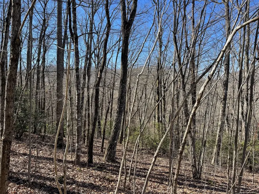 Lot #53M Ridges, Hayesville, NC 28904 - #2