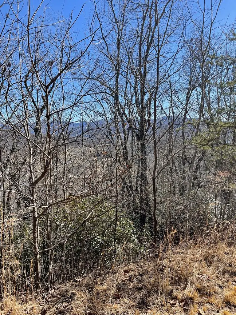 60 & 61J Mountain Harbour, Hayesville, NC 28904 - #2