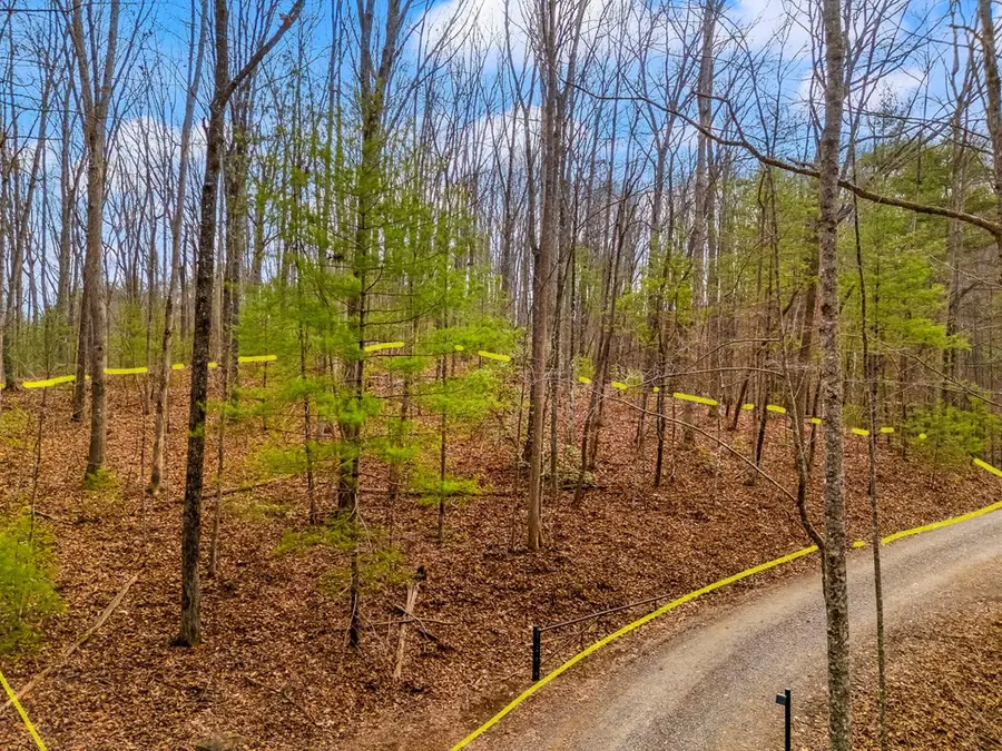 1.03 Ac Guy Eller Road, Murphy, NC 28906 - #3
