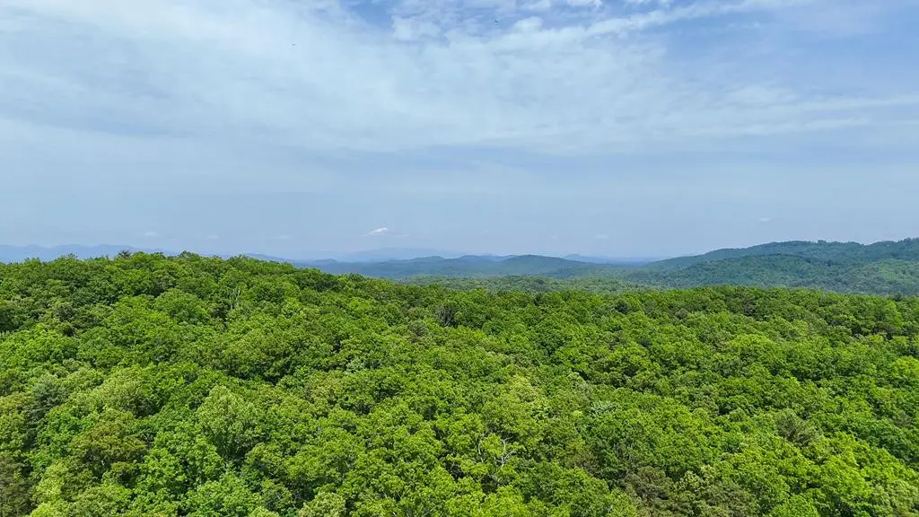 00 Hialeah Way, Murphy, NC 28906 - #1