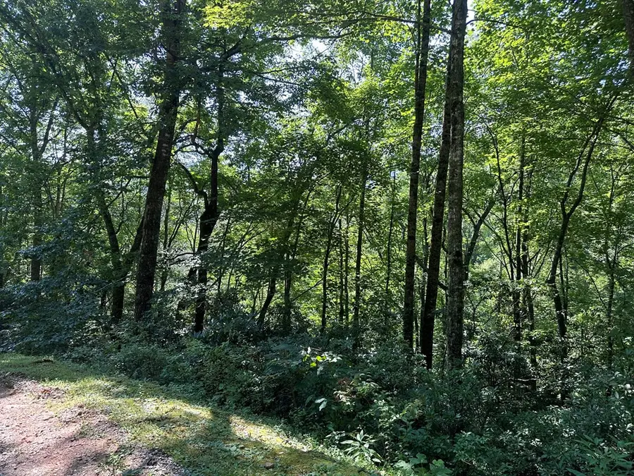 00 Briggs Cove Road, Robbinsville, NC 28771 - #3