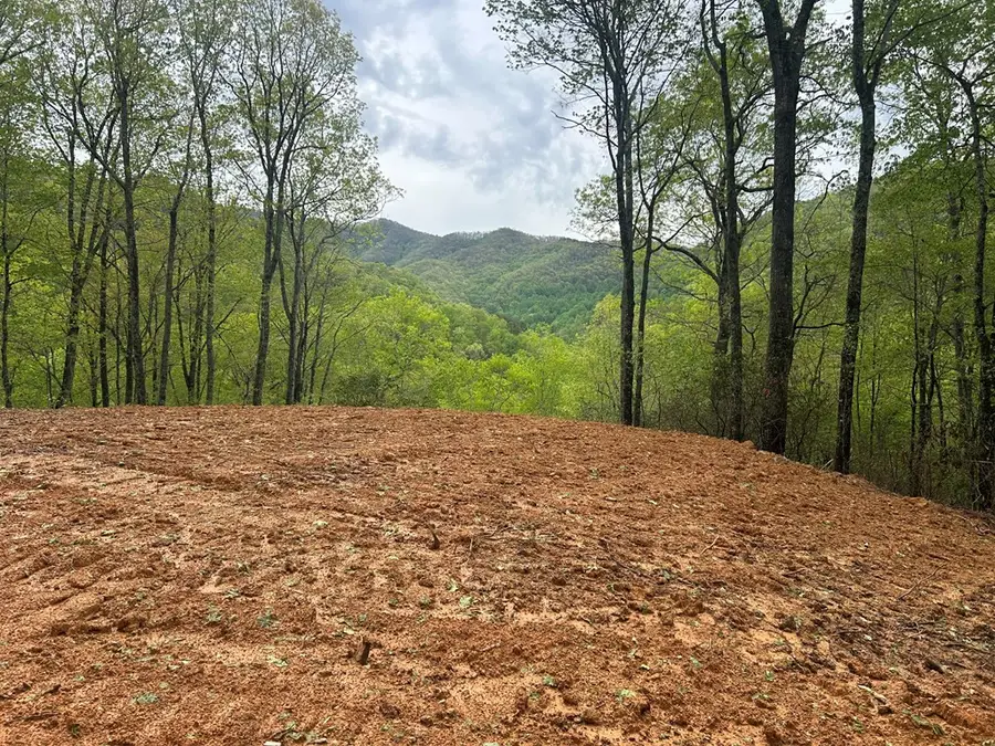 Lot 8 Blackberry Bend, Bryson City, NC 28713 - #2