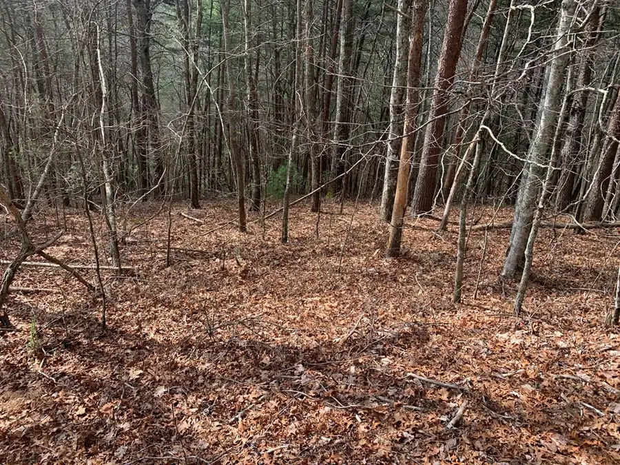 Lot 20 Wolf Ridge Lane, Murphy, NC 28906 - #3