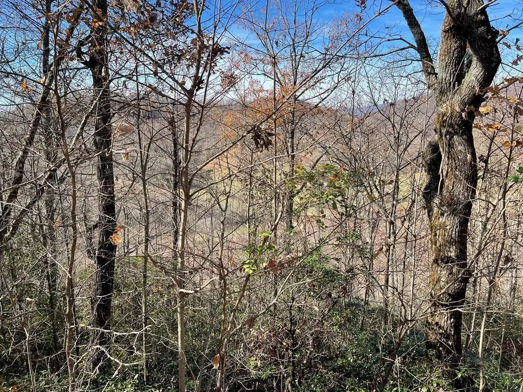 Lot 31J Ash Branch Road, Hayesville, NC 28904 - #1