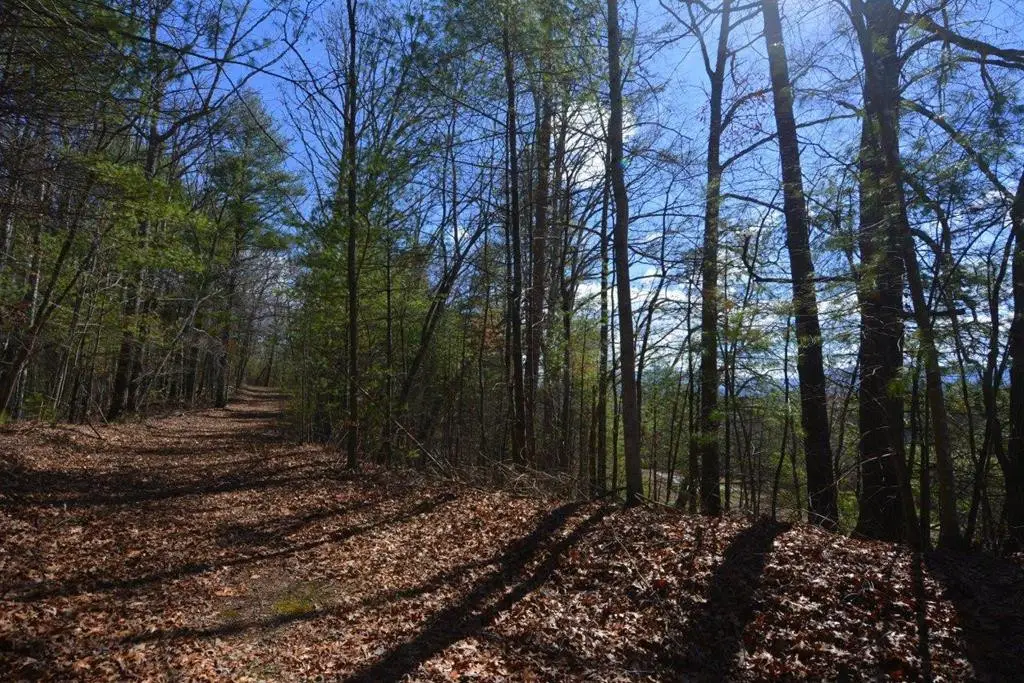 51-53 Hickory Lane, Robbinsville, NC 28771 - #1