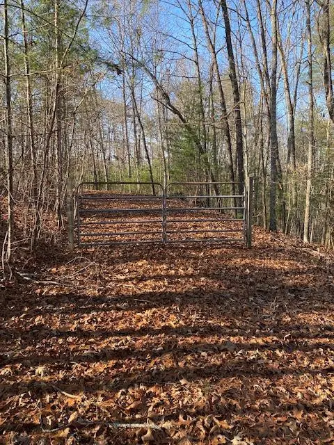 0 Proghorn Lane, Murphy, NC 28906 - #1