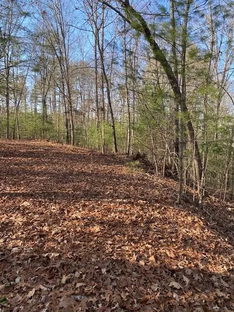0 Proghorn Lane, Murphy, NC 28906 - #2