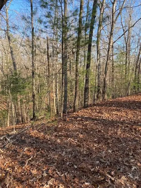 0 Proghorn Lane, Murphy, NC 28906 - #3