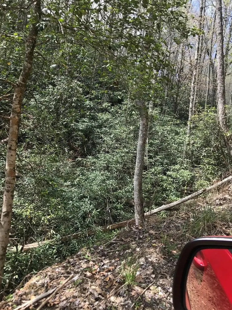 604 Upper Sawyers Creek, Robbinsville, NC 28771 - #2